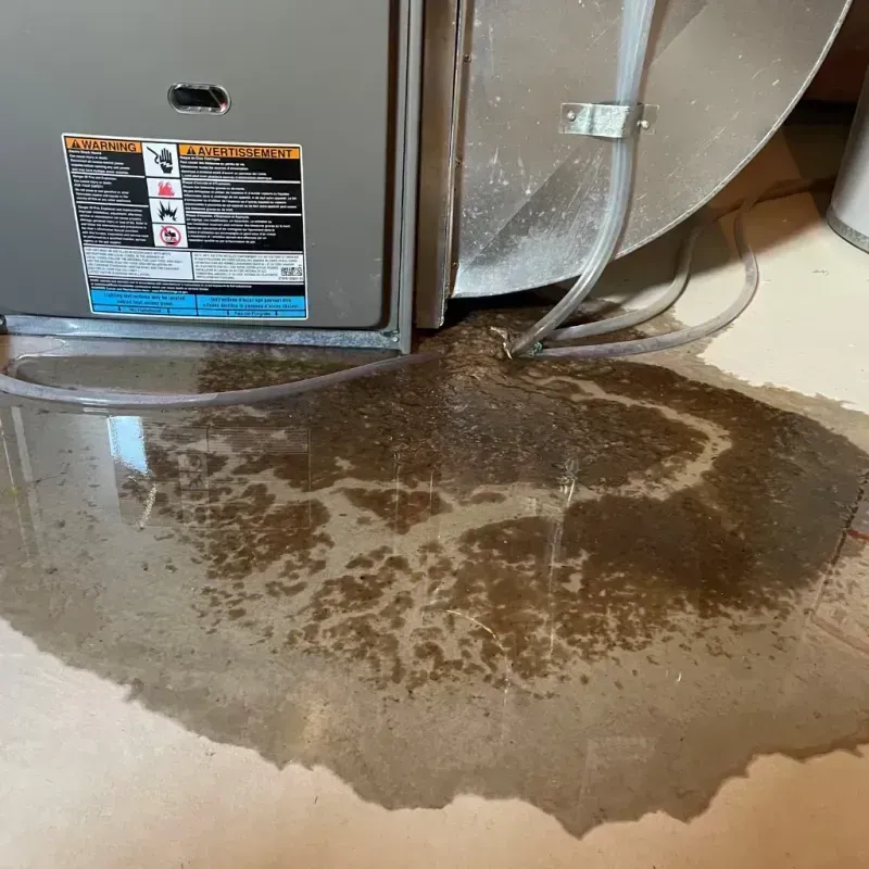 Appliance Leak Cleanup in Rhinebeck, NY